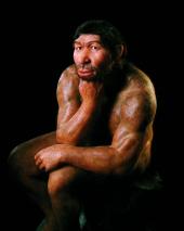 Modell eines archaischen Homo sapiens (zirka 200 000 Jahre)
