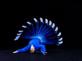 Australian Dance Theatre/Garry Stewart, Proximity © Chris Herzfeld
