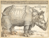 Dürer, Munch, Miró - The Great Masters of Printmaking: Albrecht Dürer: Das Rhinozerus, 1515