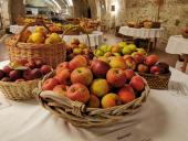 Apfelkulinarium - der Herbstmarkt auf Burg Forchtenstein