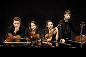 Abendkonzert Armida Quartett (Z1/13) & (Z2/2)-Lockenhaus Kammermusikfest