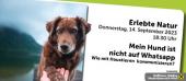 Museum Niederösterreich - Erlebte Natur: Mein Hund ist nicht auf Whatsapp