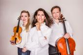 Festival Beethoven Frühling - Trio Vision