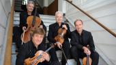 FINALE – Amadeus Quartett - Auryn Quartett auf der Stiege