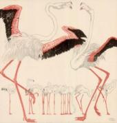 Flamingos, 1909