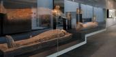 Führung - Mumien! Oder eine Geschichte von den ägyptischen Gottheiten - Ausstellungsansicht Archäologiemuseum