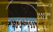Haydn Gala