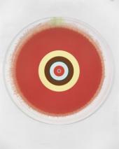 Damien Hirst, Gorgeous Concentric Sunny Lipstick Berry Painting, Privatsammlung