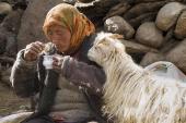 Fotovortrag Ladakh