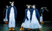 Pinguin People - Clowneskes Bewegungstheater