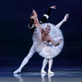 „Schwanensee“ - getanzt vom Royal Classical Ballet - Brucknerhaus Linz