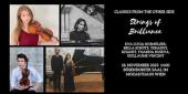 Strings of Brilliance: A Virtuoso Showcase