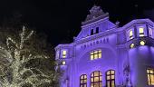 Volksoper Wien - Weihnachts-Wahlabo - (c) Anna Pintsuk/Volksoper Wien