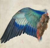 Workshop ab 14 Jahren - Blauracke - Albrecht Dürer: Flügel einer Blauracke, um 1500 | Aquarell und Deckfarben, mit Deckweiß gehöht