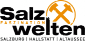 Foto: Logo - SalzweltenMaster 3er positiv