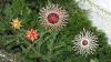 Kärntner Freilichtmuseum Maria Saal - CHRISTBAUMSCHMUCK HERSTELLEN