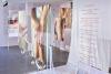 Belvedere 21 - Im Loop: 21 Minuten Tour - Robert Gabris. This Space Is Too Small For Our Bodies - Ausstellungsansicht