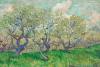 Unteres Belvedere - Vincent Van Gogh, Blühender Obstgarten, 1889
