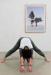 Kopfüber im Museum – Kunst trifft Yoga 