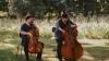 Musik im Park – Eintritt frei! Musik-Festival Grafenegg