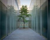 Michael Freeman,  M House,  2001, Design: Kazuyo Sejima & Ryue Nishizawa, Tokio, Japan