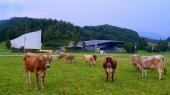 Festspielhaus Erl, Foto Peter Kitzbichler 