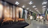Blick in die Ausstellung © Liechtensteinisches Landesmuseum, Foto Sven Beham