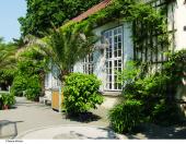 Botanischer Garten, © Dietmar Wirlitsch