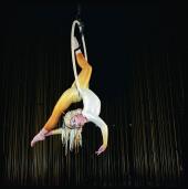 Aerial Hoop