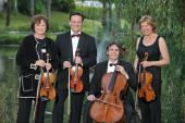 Verdi Quartett beim Festival vielsaitig © Kulturamt der Stadt Füssen, Foto: Fotostudio Samer