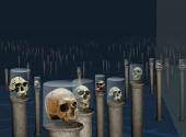 Darwins rEvolution,  ©Naturhistorisches Museum