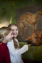 Weltberühmte Fossilien aus der Grube Messel sind in Münster zu sehen Foto: Berenika Oblonczyk, LWL