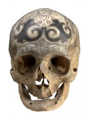 Ahnenschädel mit Gravur und Bleiauftrag, Privatsammlung, Dayak, Borneo, 19. Jh.; der Ahnenschädel wurde mit feinen Bleieinlegearbeiten verziert © Hugo Maertens, Brügge
