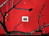 Gabriela Oberkofler, Aus der Serie: Alles wieder zurück, Kirschbaum mit Knospen, roter Garn, Kirschkerne, 2012  