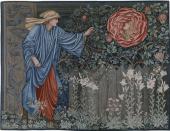 Das Herz der Rose