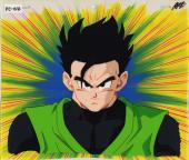anime_dragonball_hm