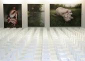 art_2011_0695