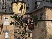 burgblick