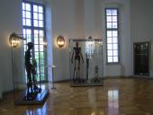Deutsches Medizinhistorisches Museum