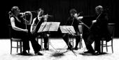 SignumQuartett4_copyright_ZuzanaSchmitz-Kulanova(2)