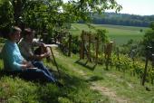 Spaziergänger am Weinberg