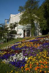 Sommerarena Baden - Garten