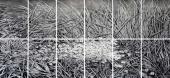 Rainer  WÖLZL - Museum der Schatten, Gras des Vergessens, Galerie.Z