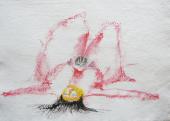 Gottfried-Bechtold: TOP-DOWN, 2009