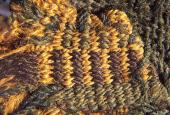 Foto: Detail Borte