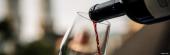 Weinseminar - About Wine