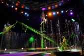 Foto: Circo Acquatico