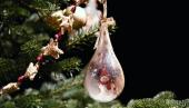 Adventlesung - Das Sams feiert Weihnachten