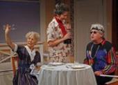 Foto Arsen und Spitzenhäubchen, Stadttheater Baden