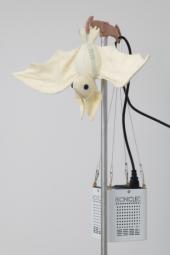 Benoît Piéron - Monstera deliciosa, 2022, Ausstellungsansicht Horizones - Fondation Ricard, 2022, Paris^